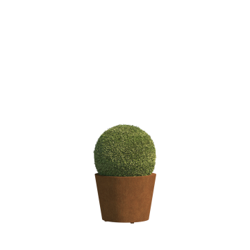 Bario mini vazonas