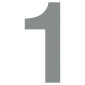 Namo numeris 1